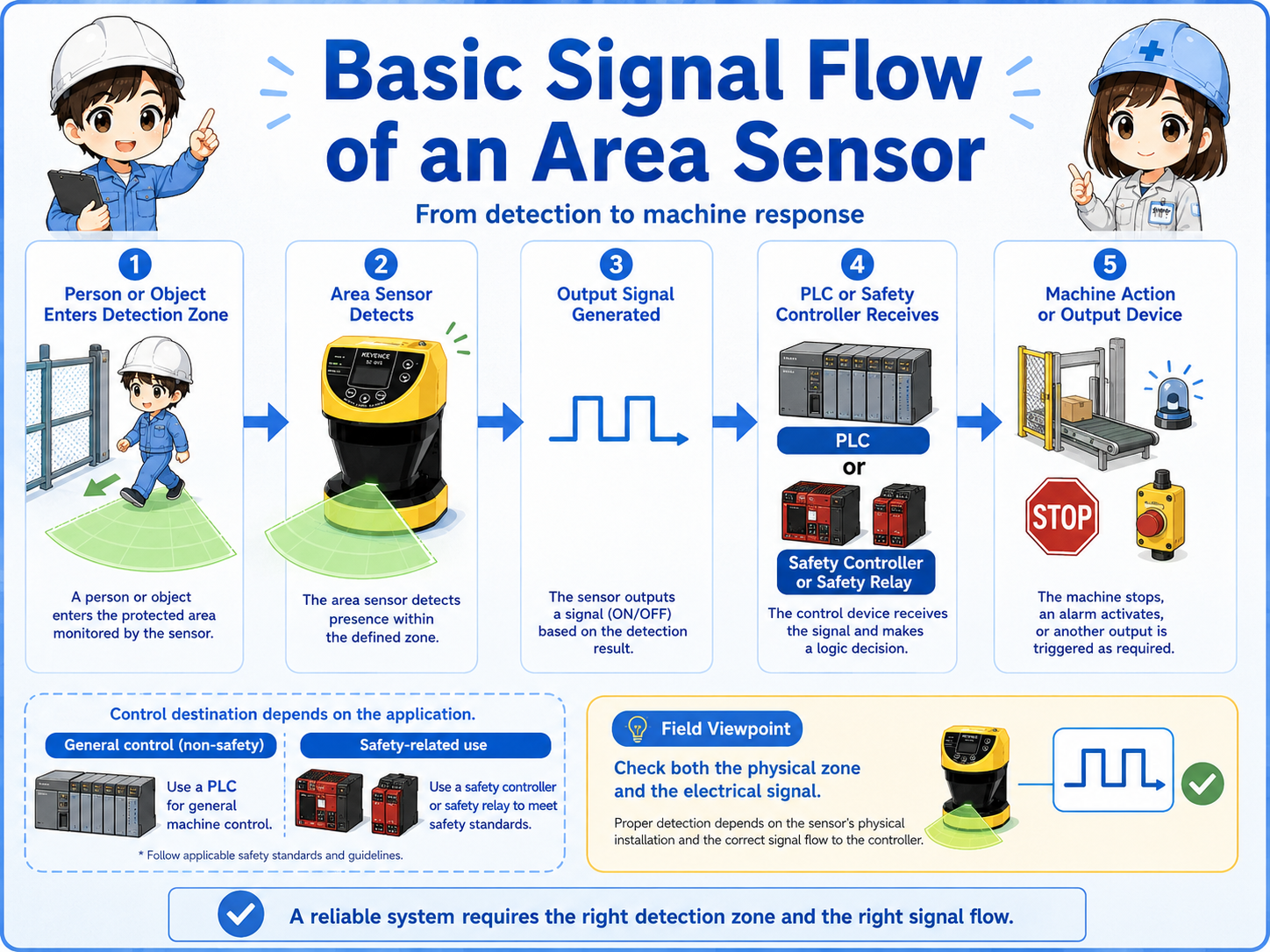 Signal flow from area sensor detection zone to PLC input or safety controller